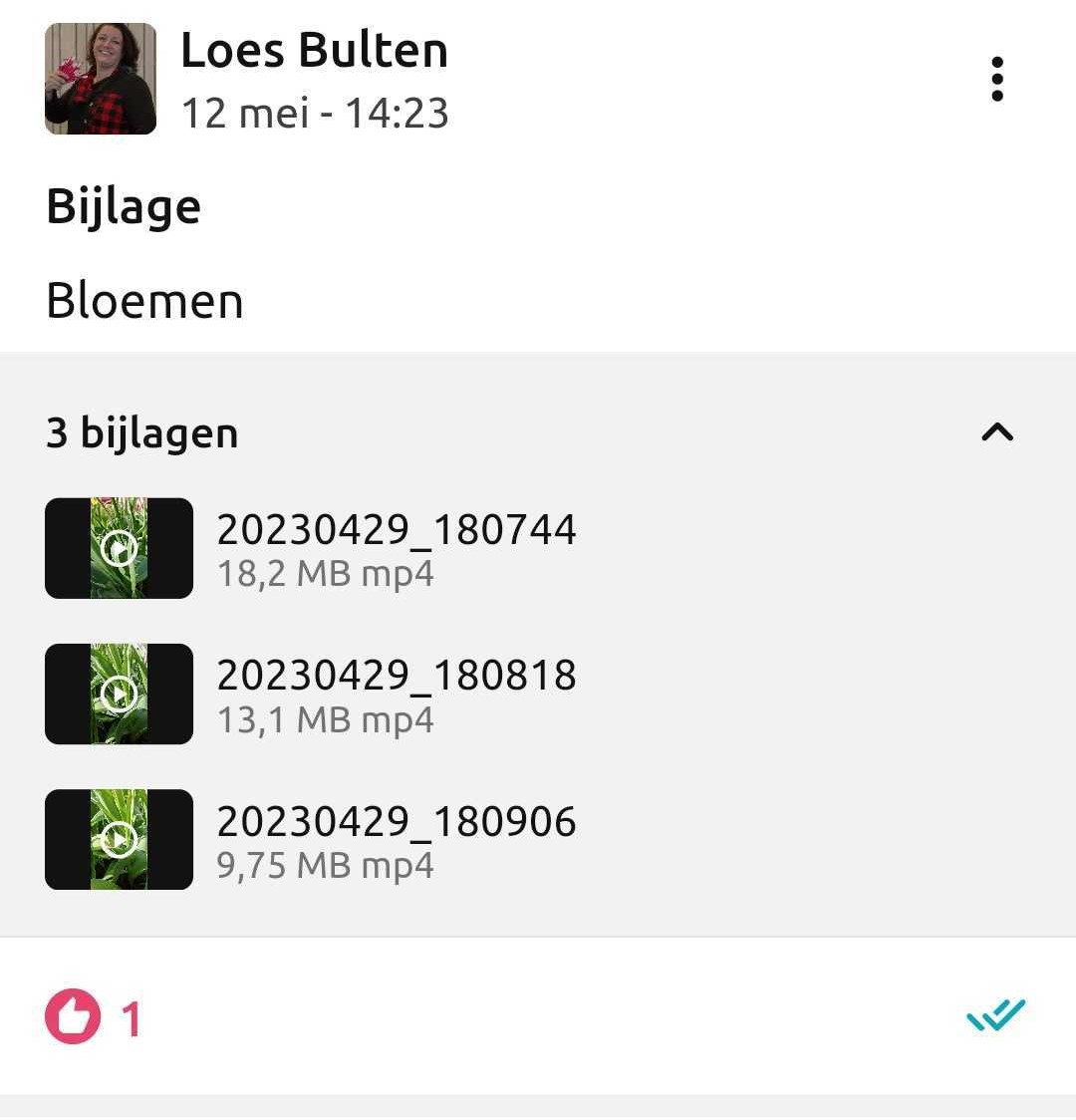 Video 1.jpg